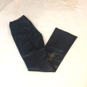 Danier leather pants